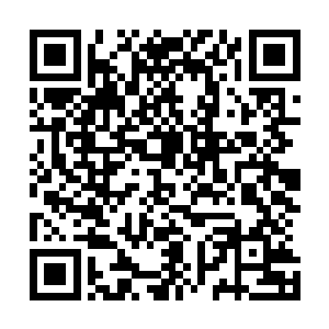如果不是董事长一直承诺这个项目会给公司带来巨大的收益二维码生成