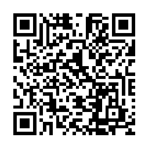 如果不是许紫烟那么就证明有一个针对许紫烟和三大城的阴谋二维码生成