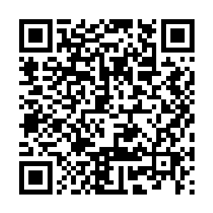 如果不是贵母妃派来看老九的人亲自去请了贵母妃二维码生成