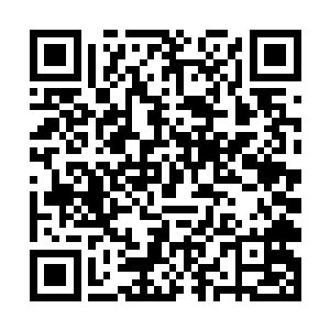 如果不是赵虎命令赵雨赵雷赵电将推进的速度放慢点二维码生成