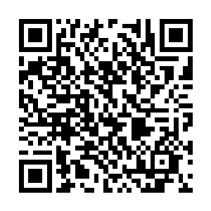 如果不是那些人的嘲讽和歧视让荣光感觉到了痛苦二维码生成