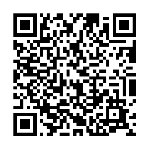 如果不是那些消失掉了的青铜棺材和空出来的许多位置二维码生成