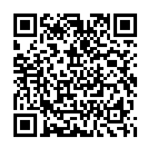 如果不是马戈尔学院的那些老师爱惜维尼的天分二维码生成