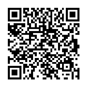如果东非地区真的有丰富的竹资源和是和竹产业发展的环境二维码生成