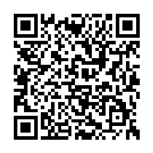 如果两部影片是放在颁奖季冲击学院派奖项的话二维码生成