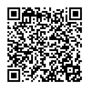 如果主人能够提供多一些在苍茫大陆之时送给奴婢的那种混沌之气二维码生成