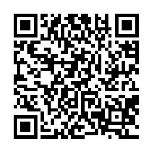 如果他们发现虚或是阿米达中的任何一个在战斗胜利之后二维码生成