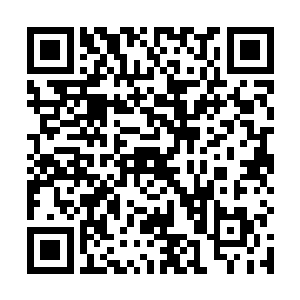如果他们知道林烽现在连先天高手都可以轻易打败的话二维码生成