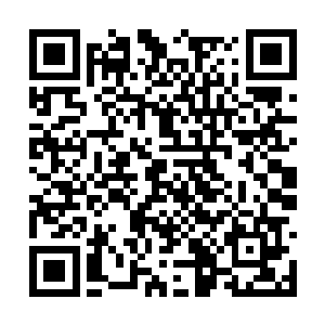 如果他们胆敢把这种隐形涂料涂在新研发的飞机上二维码生成