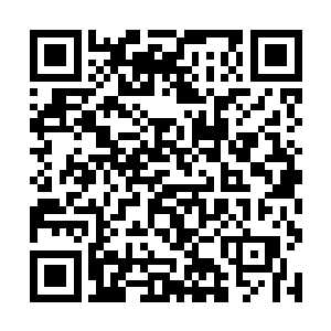 如果他们要把矛头直接对准了自己的那家保健品工厂二维码生成