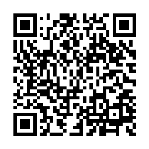 如果他们这样做的话最后受到羞辱的肯定是他们二维码生成