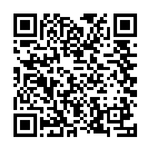 如果你不能将这匹天马幻化成人形……把莲花台还给我二维码生成