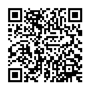 如果你也想像秦纵横白破局或者你姐姐那样觉得人活一世不易二维码生成