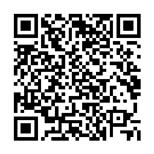 如果你们千景门派人去我们绿草门做这些事情了二维码生成