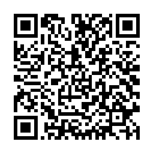 如果你早点出来全心全力的去办好公司不是也很好吗二维码生成