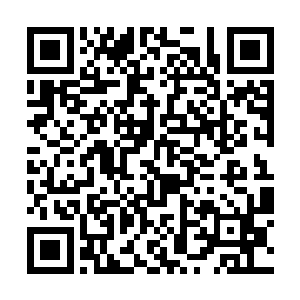 如果再加上你点的这一桌菜和两个金币的包房费的话二维码生成