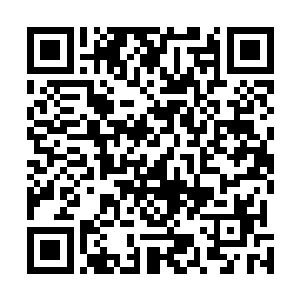 如果再让两人去别的船上拿那点儿薪水两人连想都不敢想二维码生成