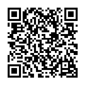 如果凭借他们三人的实力飞驰过去用不了多长时间二维码生成