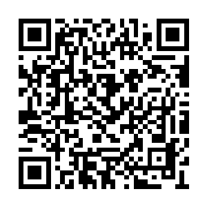 如果刚才他不给凤如心释放这个恐怖魔法的机会二维码生成