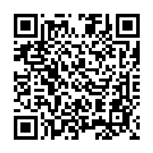 如果十皇子有本事的话这些孩子将来都会成为他的心腹二维码生成