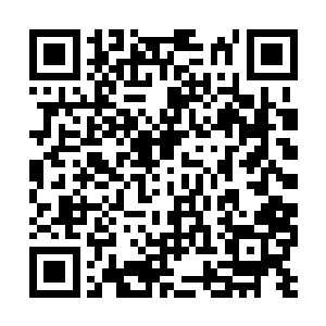 如果单纯从教育的角度看华族在大灾变之前的历史二维码生成