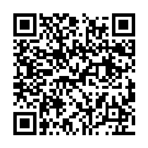 如果哪一天想容被府里的姨娘莫名奇妙地给害死了二维码生成