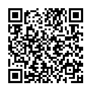 如果四位始祖的这四把本命武器不愿意出手相救的话二维码生成