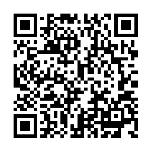 如果因自己的一句话而彻底惹怒言了眼前的少年二维码生成