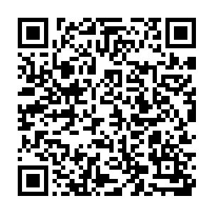 如果在加上这段日子每天跟眼前这个家伙打嘴皮子官司积累出的火气二维码生成