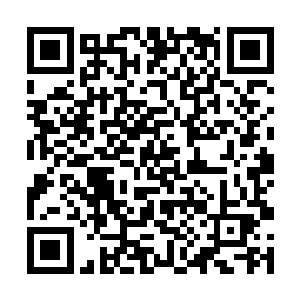 如果在巡视的时候碰到又靠近部落的雪狼也不要慌乱二维码生成