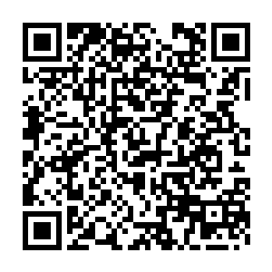 如果在柳清浅的脑海中只有这个而忘记了之前我们在故宫中的事情的话二维码生成