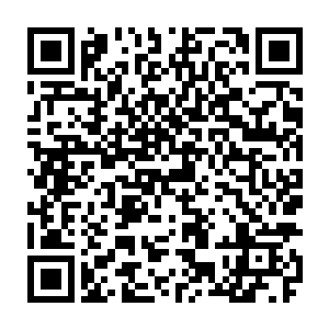 如果大师兄能够迈过这一道坎现在的境界恐怕早就是达到了天级弟子的要求了二维码生成