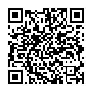 如果她和凤君曜不是提前知晓凤清乾要用凤火覆九天二维码生成