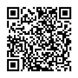 如果她直接对三大家族动手的话会引来很多麻烦二维码生成