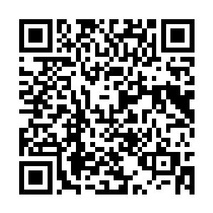 如果妻子的外甥女表侄女儿将来做了这王府的主母二维码生成