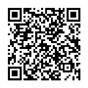 如果孟家千金和莫家大小姐真的都嫁给了秦宇的话二维码生成