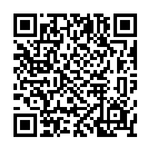 如果寒家二小姐就是令人闻风丧胆的月影楼公子二维码生成