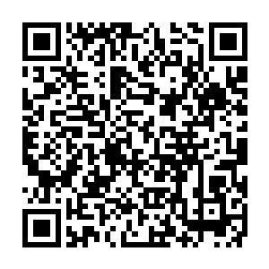如果对于一个年纪轻轻的苏凡有着这等实力再加上可以进入空灵之境还不服的话二维码生成