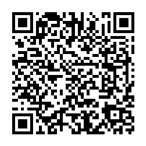 如果少爷不是为了我……就不会去悬崖……然后……就不会这样了……二维码生成