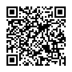 如果弓藏血还不知道之前这厮的可怜模样是故意诱她心软的二维码生成
