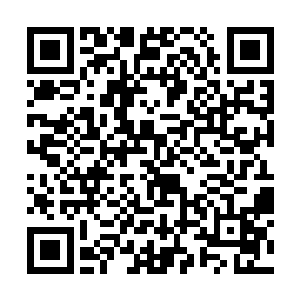 如果当初她知道自己惹上了这么一个麻烦的主儿的话二维码生成