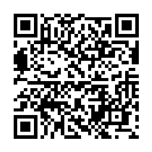 如果您能够进入100米或者200米任何一项比赛的决赛二维码生成