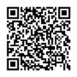如果您能投注全部的精力在联合实验室是最好的二维码生成