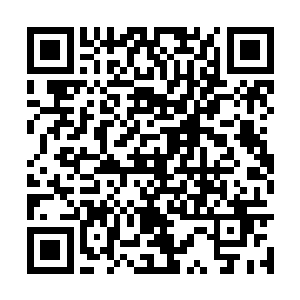 如果想和秦倚天互动一下或者被叶温柔殴打一顿的二维码生成