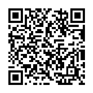 如果想在自己的餐厅酒吧里加入某种大品牌葡萄酒二维码生成