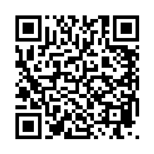 如果我们不能找出人面蚊病毒的解决方案二维码生成
