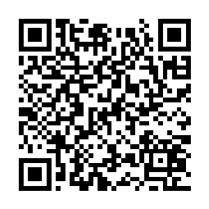 如果我们俩同时竞选朱雀中学的道德模范这一荣誉二维码生成