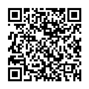 如果我们把零城看做是一个房子……那么当初第一批房子的主人二维码生成