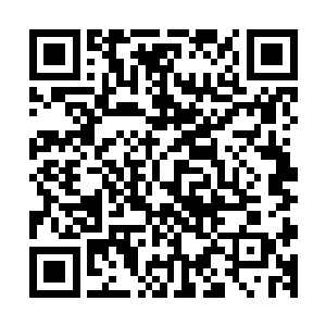 如果我能够在半天内一个不错的说出这三千七百种材料的名称二维码生成