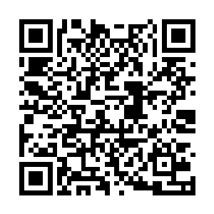如果我能够把试炼谷内所有的四阶妖兽都给猎杀了二维码生成